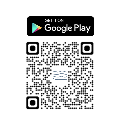 Play Store
